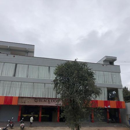 Hotel Amulya Regency Bayappanhalli Exterior foto